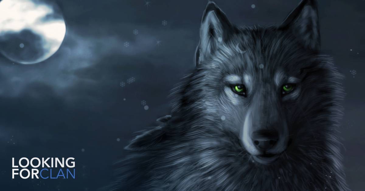 Alpha Wolves Looking For Clan 